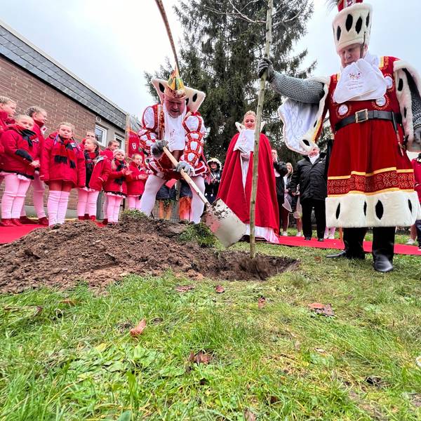 Das Porzer Dreigestirn pflanzt einen Baum.