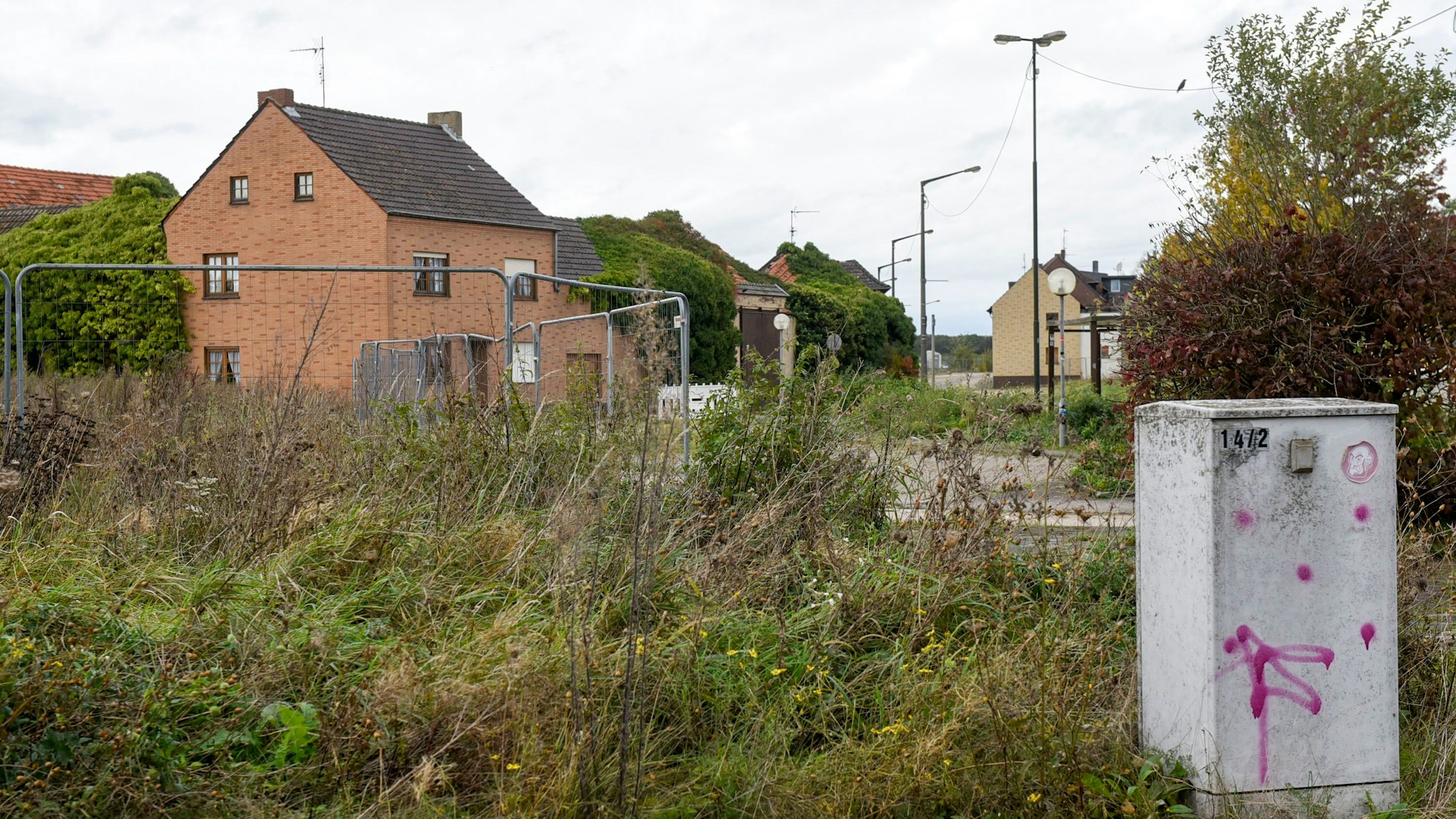 Häuser im alten Manheim, davor eine verwilderte Wiese und Bauzäune.