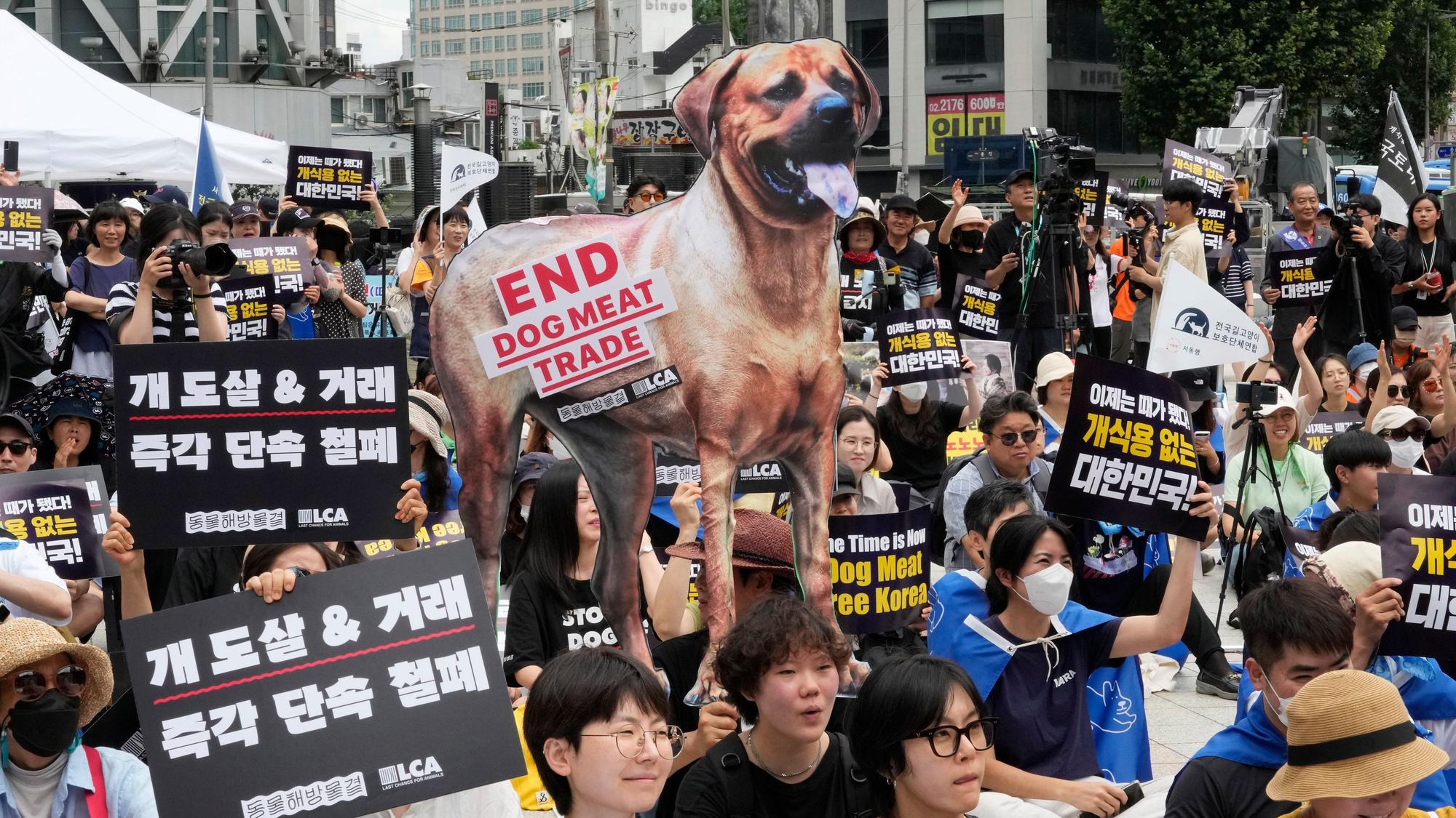 Tierschützer veranstalten eine Kundgebung gegen die traditionelle Kultur des Verzehrs von Hundefleisch in Südkorea.