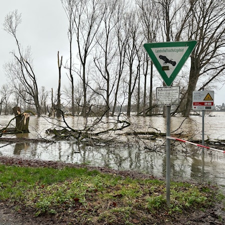 Abgeknickte Bäume liegen im Wasser.