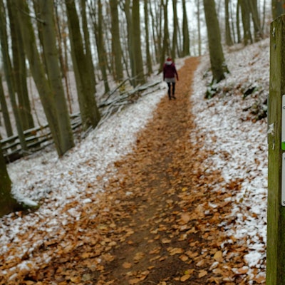 Ein schmaler Wanderweg in einem Wald in der Eifel ist von Laub bedeckt. Neben dem Weg liegt ein wenig Schnee.