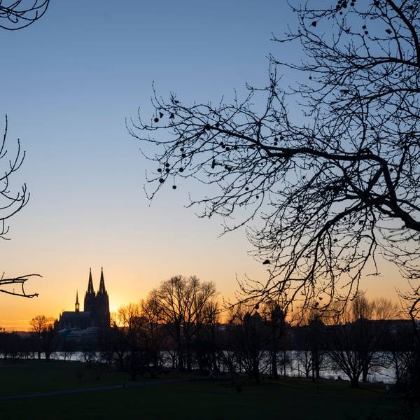 Während sich die erste Novemberhälfte so richtig nach Herbst anfühlt, könnten gegen Ende des Monats aufgrund sinkender Temperaturen Wintergefühle aufkommen.