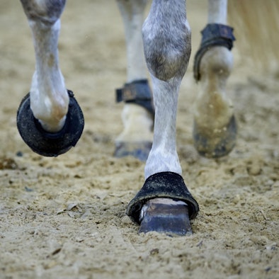 Die Hufe eines Pferds sind im Sand bei einem Reitturnier zu sehen. (Symbolbild)