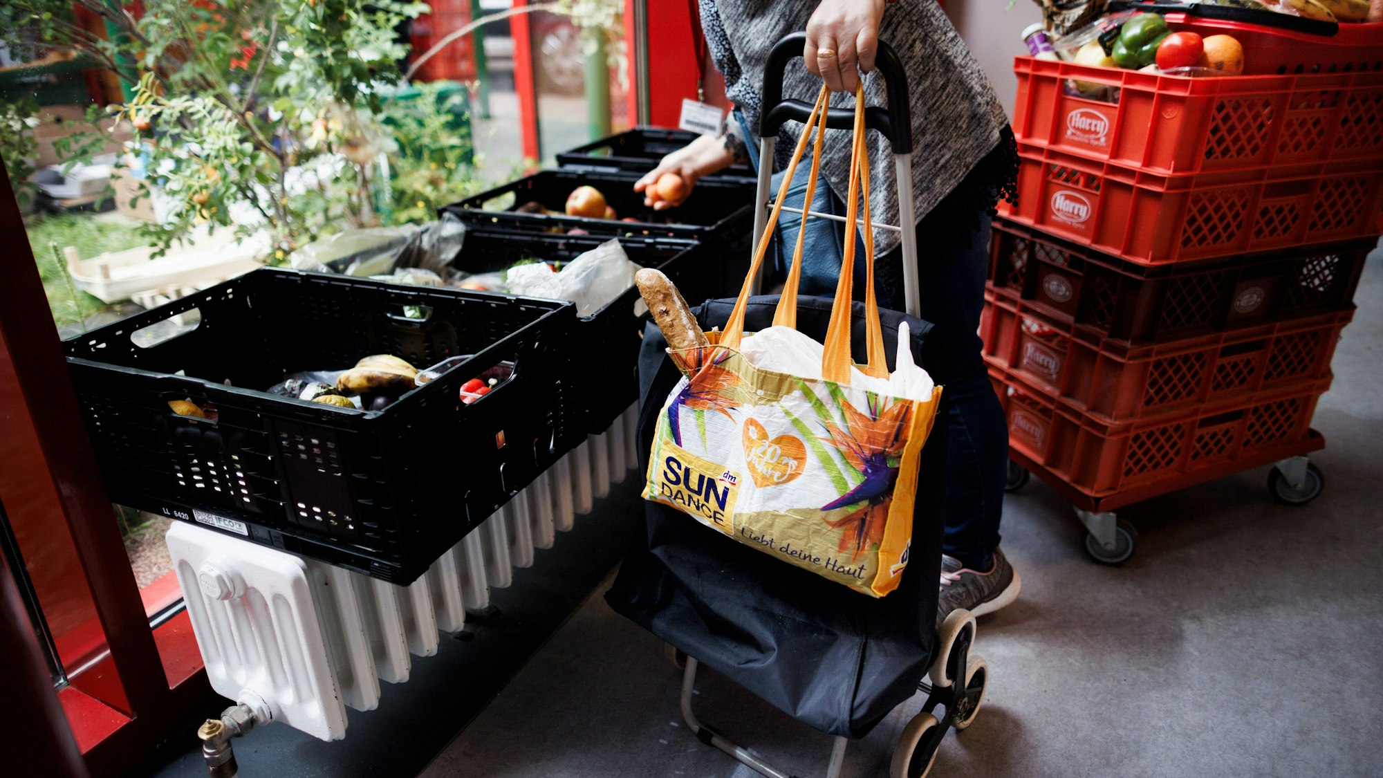 Eine Frau sammelt Obst aus einer Kiste in der Ausgabestelle Paul-Schneider-Haus der Berliner Tafel. Jeden Montag findet die Ausgabe statt. Zum bevorstehenden Bundestafeltreffen kommen Vertreter der Tafeln aus ganz Deutschland zusammen, um einen neuen geschäftsführenden Vorstand der Tafel Deutschland zu wählen und diverse Themen zu diskutieren. +++ dpa-Bildfunk +++