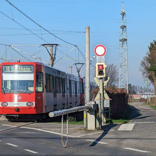Eine Stadtbahn fährt in den Haltepunkt Fischenich ein, neben den Gleisen ein Wirtschaftsweg.