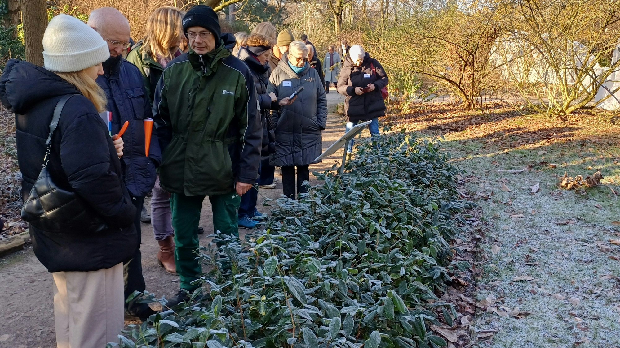Die kleine Teeplantage am Subtropenhaus