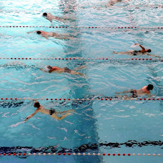 Schwimmer ziehen Bahnen.