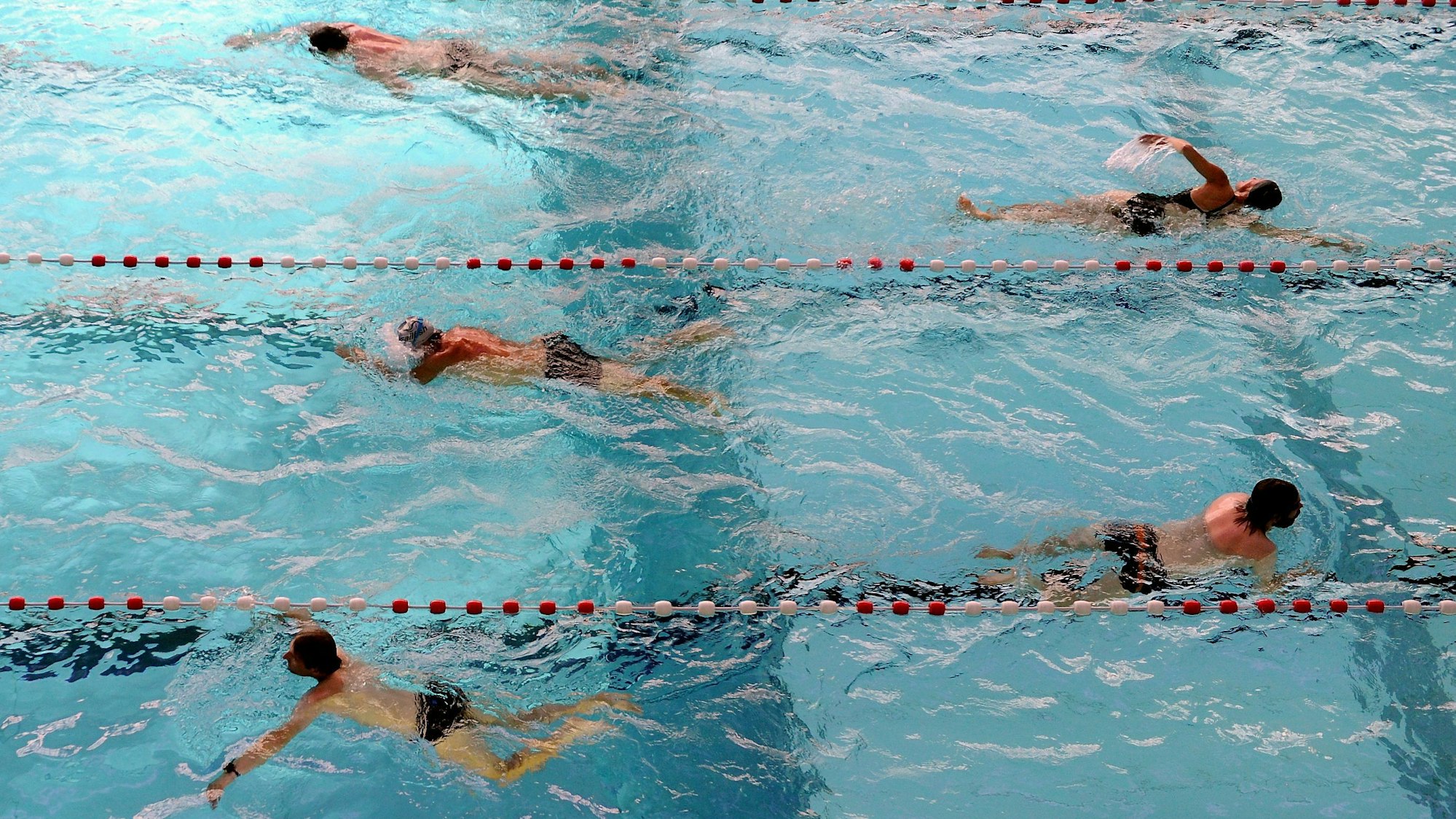 Schwimmer ziehen Bahnen.