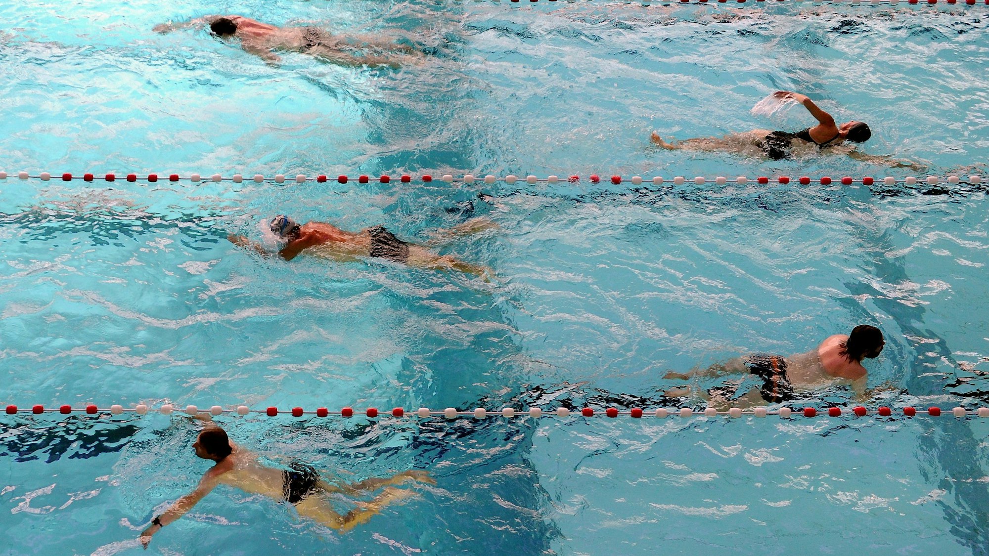 Schwimmer ziehen Bahnen.