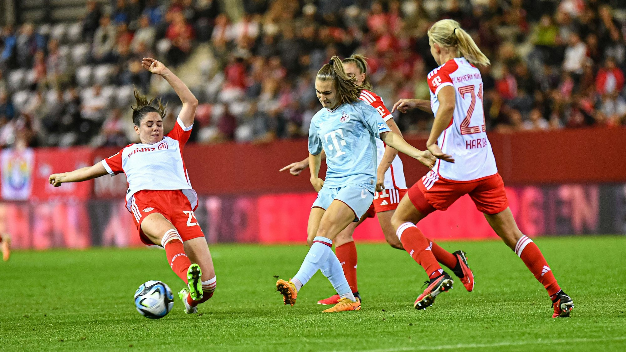 Sarah Zadrazil 25 FC Bayern und Alena Bienz 11 1.FC Köln in Aktion beim Google Pixel Frauen Bundesligaspiel FC Bayern München - 1. FC Köln am 02.10.2023. München FC Bayern Campus Bayern Deutschland *** Sarah Zadrazil 25 FC Bayern and Alena Bienz 11 1 FC Köln in action at the Google Pixel womens Bundesliga match FC Bayern München 1 FC Köln on 02 10 2023 Munich FC Bayern Campus Bayern Germany