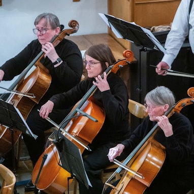 Drei Cellisten in Aktion.