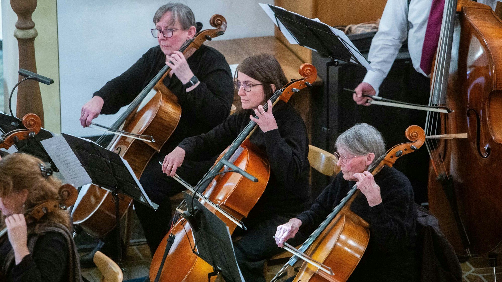 Drei Cellisten in Aktion.