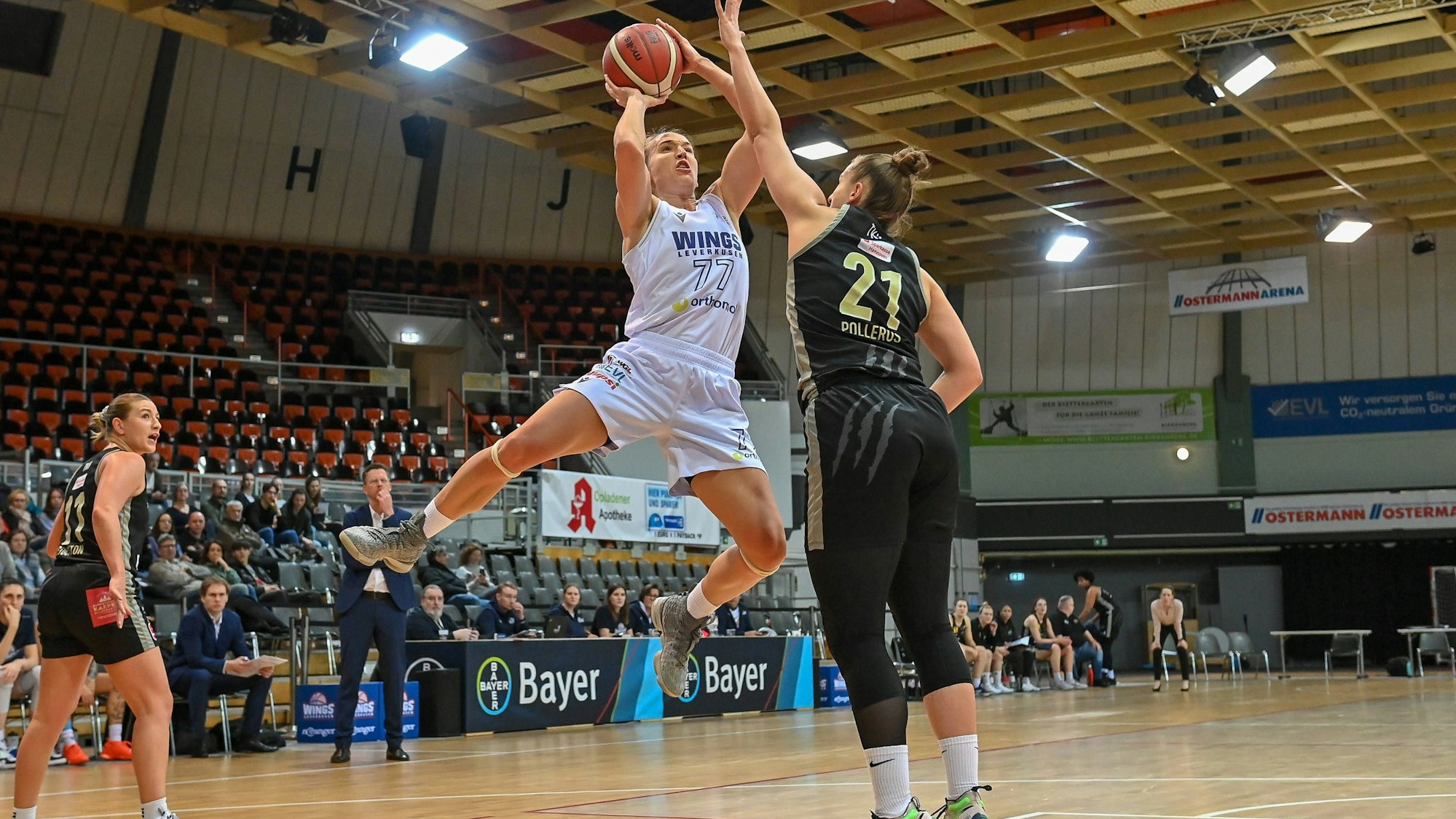 1. Damen Basketball Bundesliga: Orthomol WINGS Leverkusen vs. TK Hannover Luchse, 14.01.2024 Mante Kvederaviciute Orthomol WINGS Leverkusen 77, 1. Damen Basketball Bundesliga: Orthomol WINGS Leverkusen vs. TK Hannover Luchse am 14.01.2024 in der Ostermann Arena in Leverkusen Nordrhein-Westfalen *** 1 Womens Basketball Bundesliga Orthomol WINGS Leverkusen vs TK Hannover Luchse, 14 01 2024 Mante Kvederaviciute Orthomol WINGS Leverkusen 77 , 1 Womens Basketball Bundesliga Orthomol WINGS Leverkusen vs TK Hannover Luchse on 14 01 2024 at the Ostermann Arena in Leverkusen North Rhine-Westphalia Copyright: xBEAUTIFULxSPORTS/Mueller-Laschetx