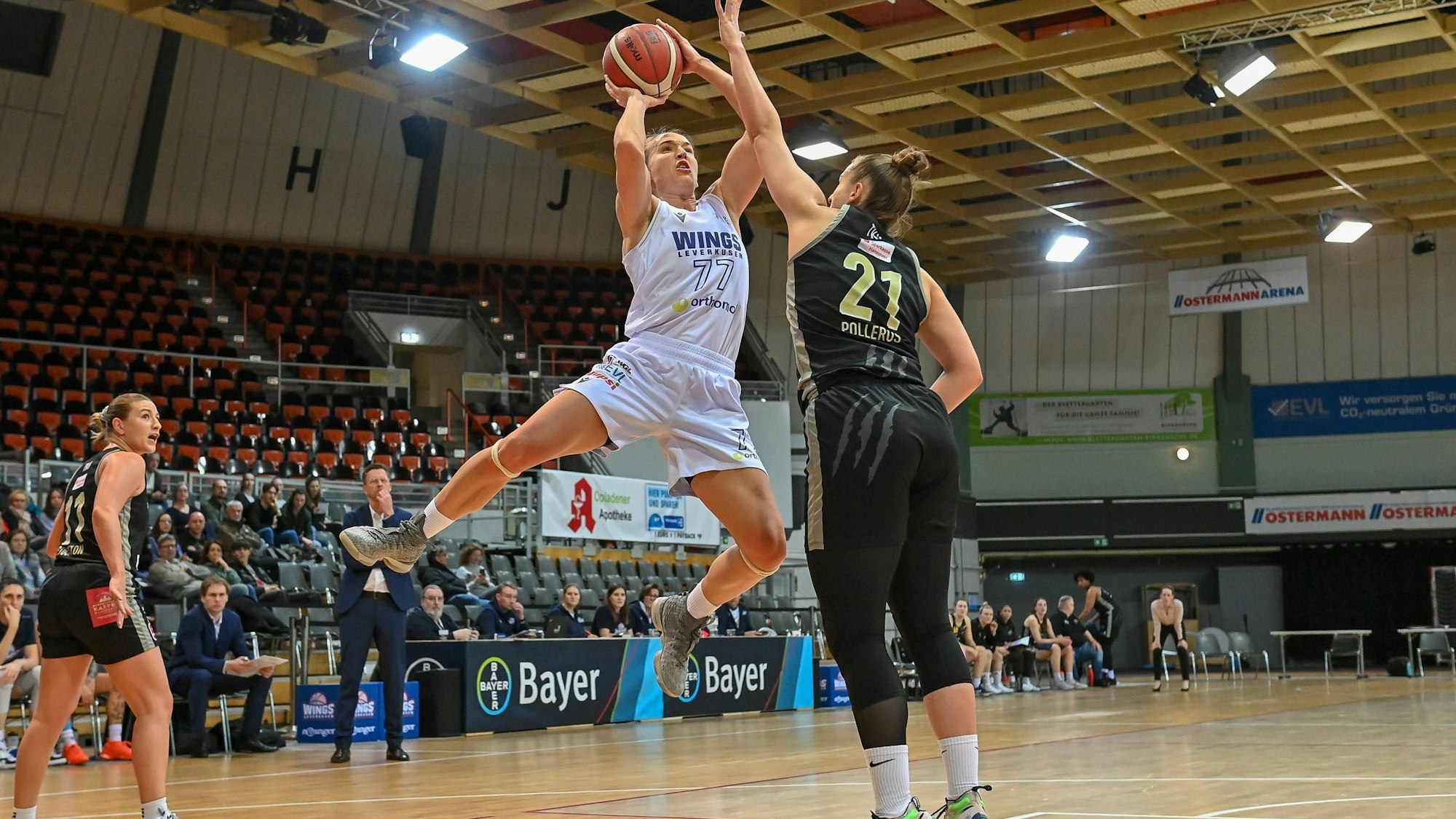 1. Damen Basketball Bundesliga: Orthomol WINGS Leverkusen vs. TK Hannover Luchse, 14.01.2024 Mante Kvederaviciute Orthomol WINGS Leverkusen 77, 1. Damen Basketball Bundesliga: Orthomol WINGS Leverkusen vs. TK Hannover Luchse am 14.01.2024 in der Ostermann Arena in Leverkusen Nordrhein-Westfalen *** 1 Womens Basketball Bundesliga Orthomol WINGS Leverkusen vs TK Hannover Luchse, 14 01 2024 Mante Kvederaviciute Orthomol WINGS Leverkusen 77 , 1 Womens Basketball Bundesliga Orthomol WINGS Leverkusen vs TK Hannover Luchse on 14 01 2024 at the Ostermann Arena in Leverkusen North Rhine-Westphalia Copyright: xBEAUTIFULxSPORTS/Mueller-Laschetx