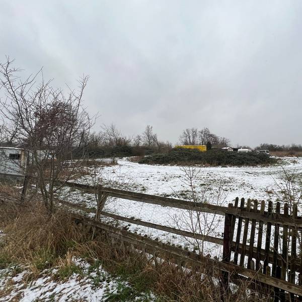Eine von einem Holzzaun umgebene Wiese, auf der Polizei und Ordnungsamt am 14. Januar sieben Hundekadaver und 24 verwahrloste Hunde gefunden haben.