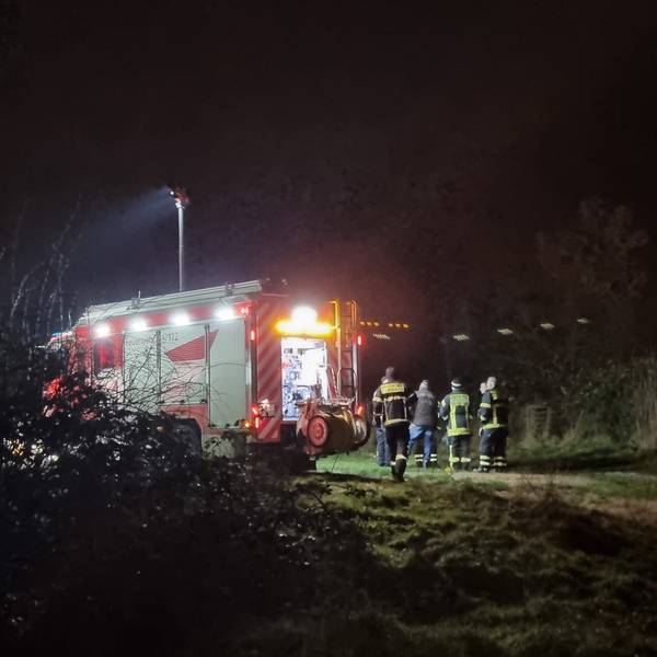 Die Feuerwehr leuchtet ein Wiesengrundstück in Rath-Heumar aus, auf dem Hundekadaver und verwahrloste Tiere gefunden wurden.