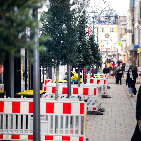 Das Bild zeigt die ersten Stechpalmen, die in der Neustraße im Zuge der Sanierung gepflanzt worden sind.