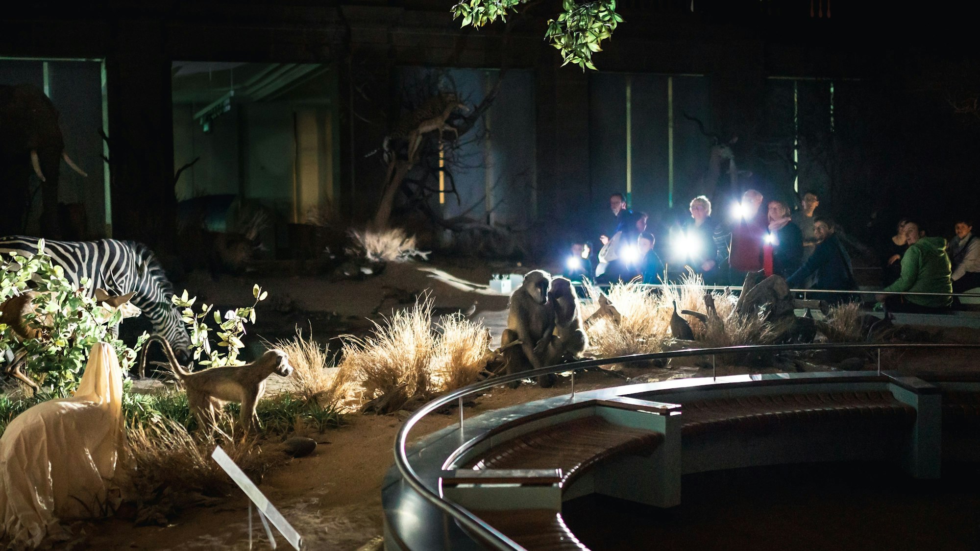 Museum König Taschenlampenführung Marc Bieschinski.