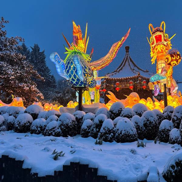 Figuren leuchten vor einer Schneekulisse in der Themenwelt China Town im Phantasialand.