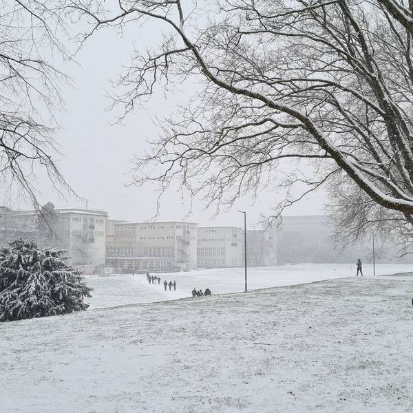 Zum zweiten Mal in diesem Winter schneit es in Köln kräftig.