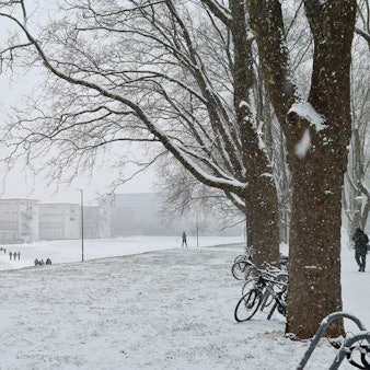 Zum zweiten Mal in diesem Winter schneit es in Köln kräftig.