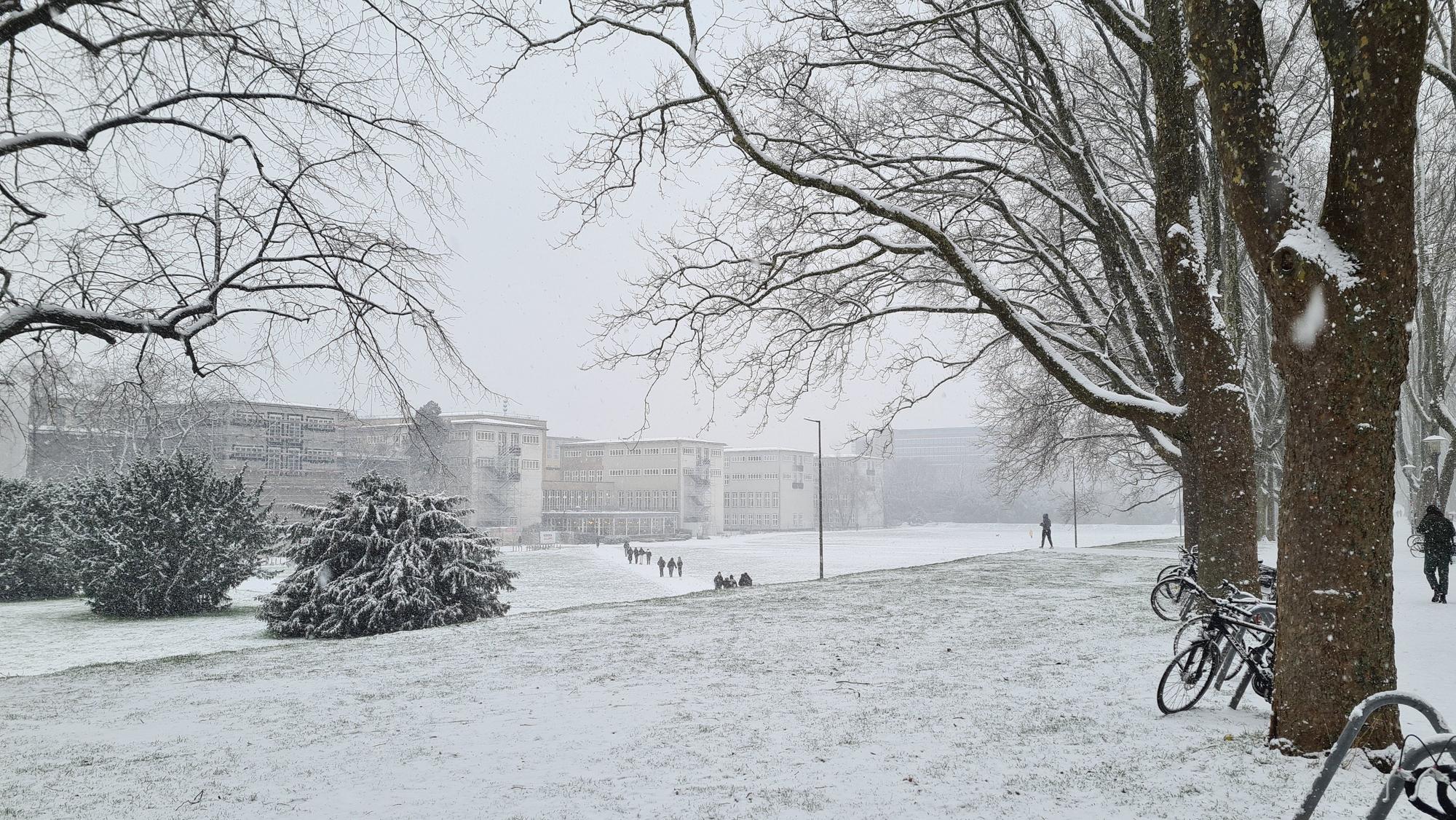 Zum zweiten Mal in diesem Winter schneit es in Köln kräftig.