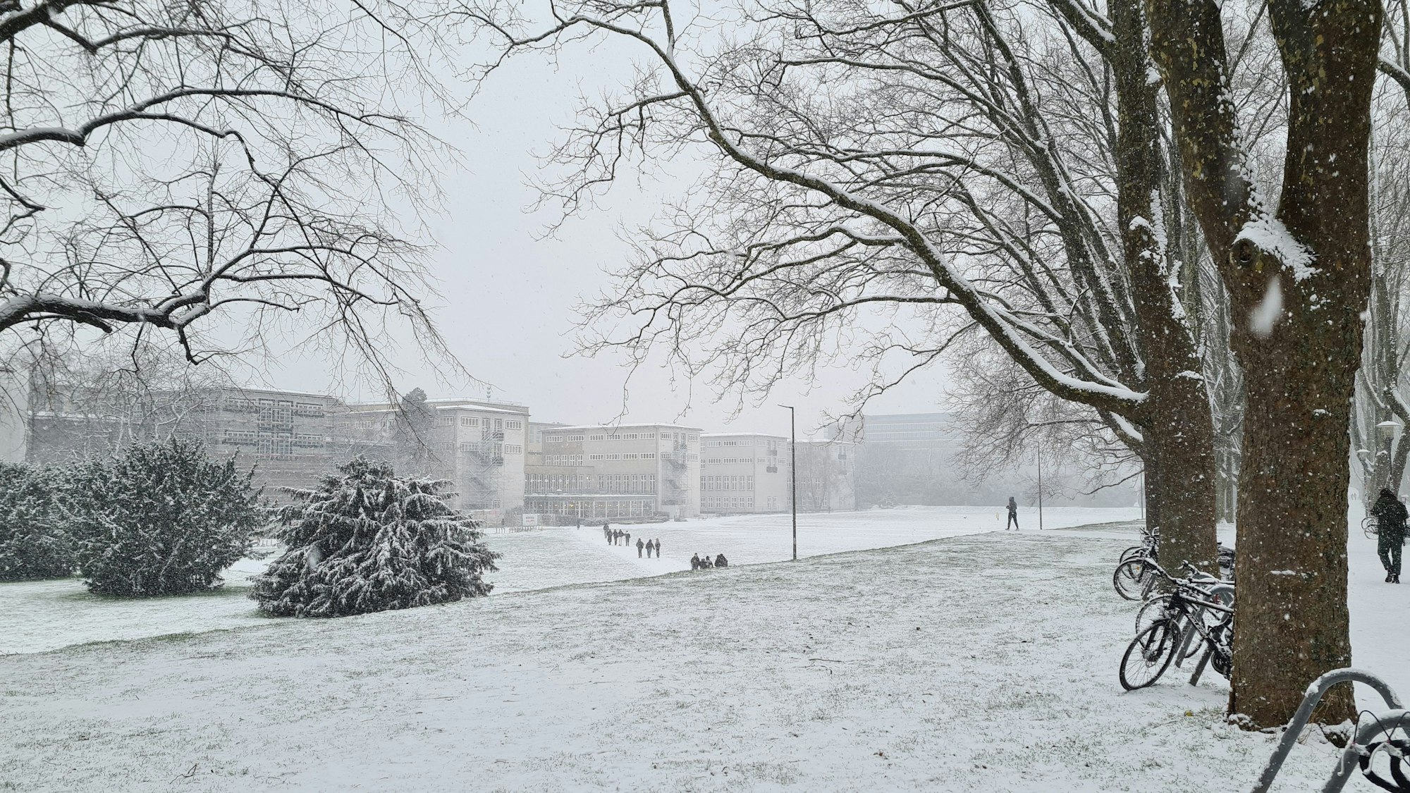Zum zweiten Mal in diesem Winter schneit es in Köln kräftig.