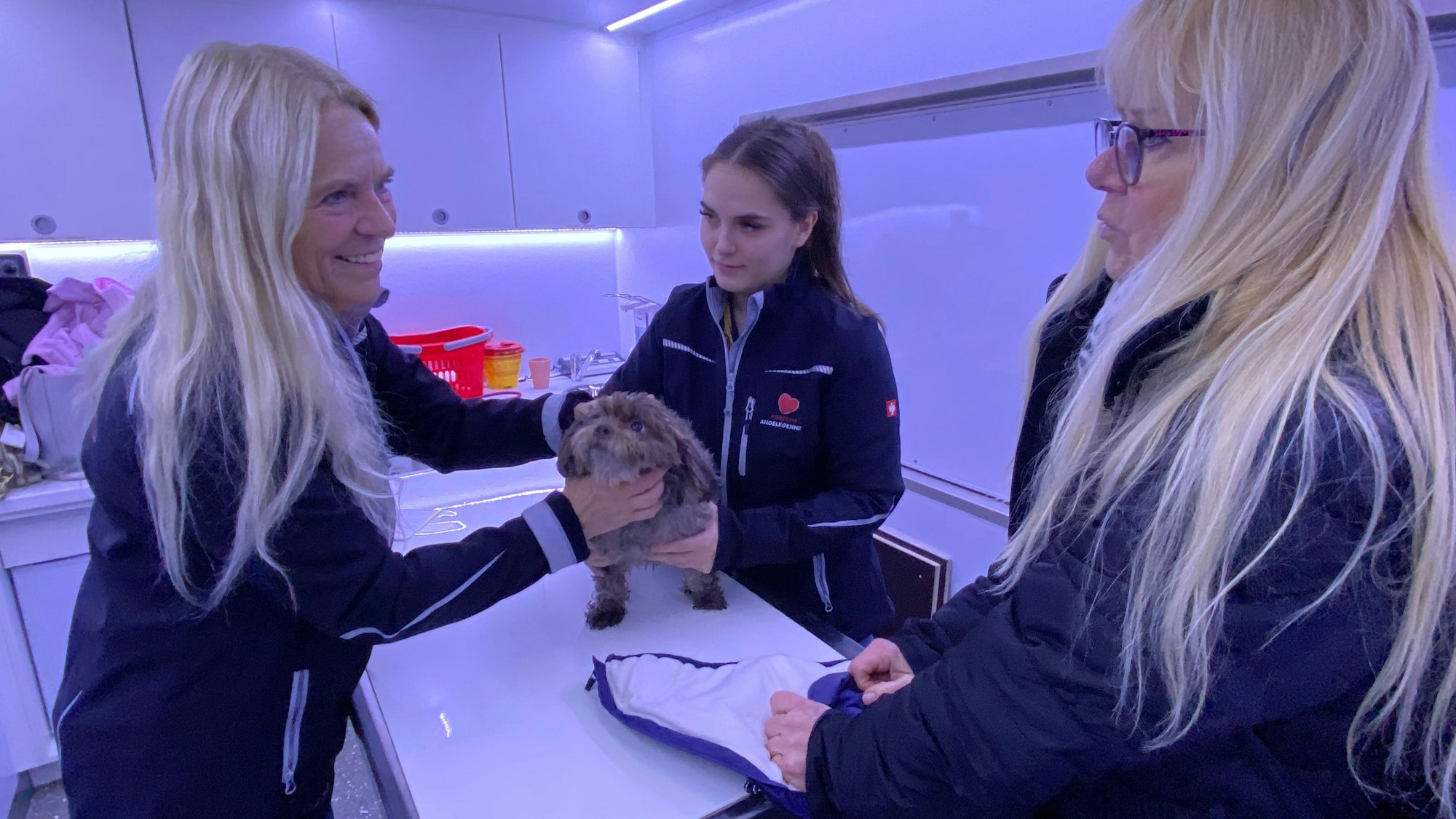 Zu sehen sind die ehrenamtlichen Kräfte bei der Behandlung eines kleinen Hundes.