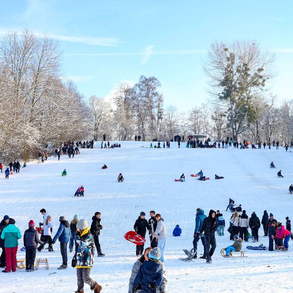 Neuschnee in NRW: Kölnerinnen und Kölner erfreuen sich am Schnee und rodeln am Sülzer Beethovenpark.