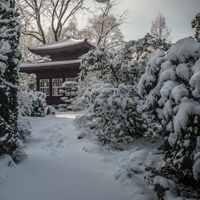 Winter im Carl-Duisberg-Park.