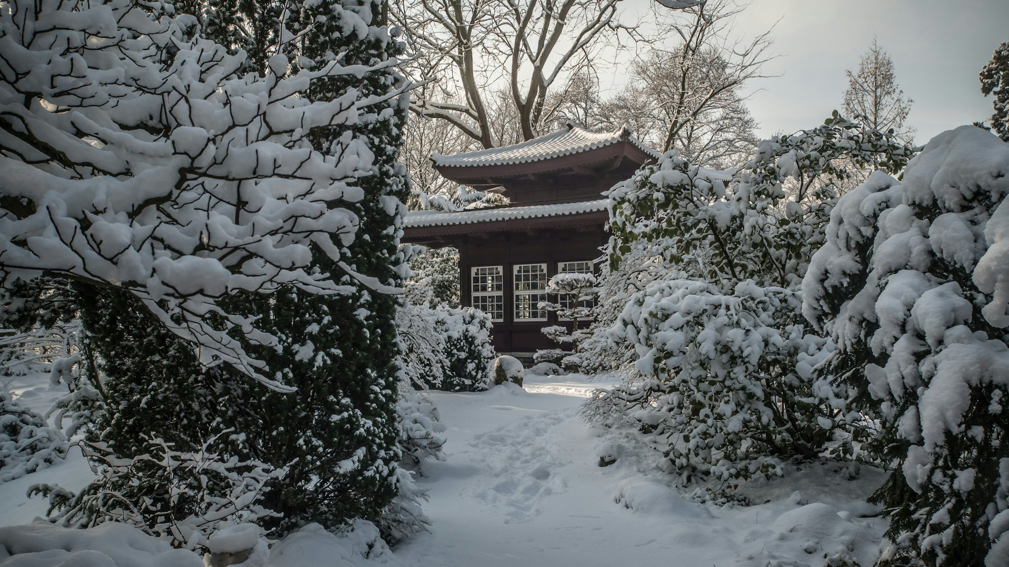 Winter im Carl-Duisberg-Park.