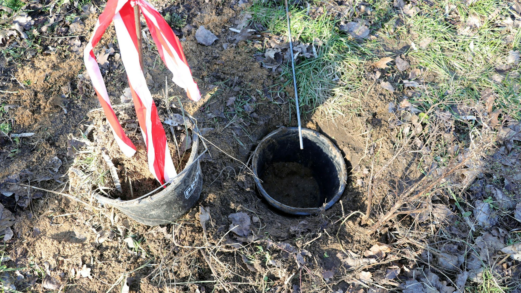 Auf dem Bild ist ein Eimer zu sehen, in dem Amphibien gesammelt werden, um sie über die Straße zu tragen.