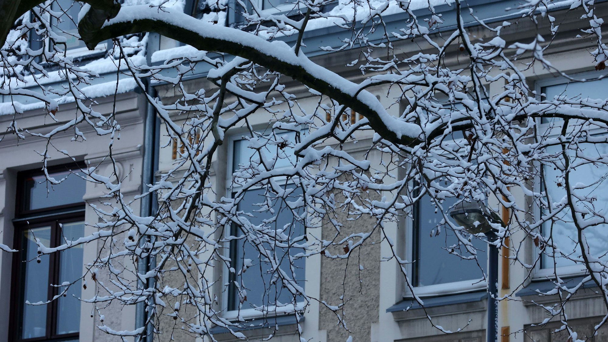 Schnee in Ehrenfeld
Schnee auf Bäumen und Ästen