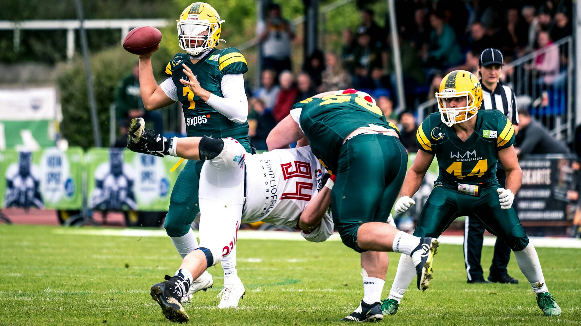 GFL Play Off Halbfinale: Potsdam Royals - Cologne Crocodiles 24.09.2022 Potsdam Royals - Cologne Crocodiles *** GFL Play Off Semifinals Potsdam Royals Cologne Crocodiles 24 09 2022 Potsdam Royals Cologne Crocodiles Copyright: xBEAUTIFULxSPORTS/NicolxMarschallx