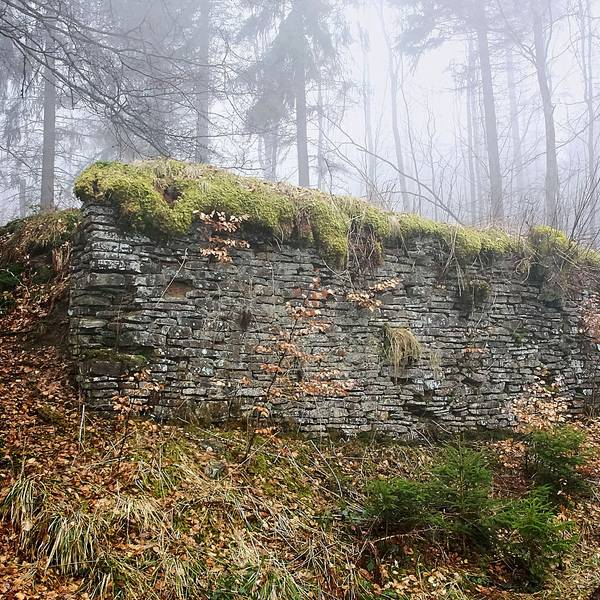 Reste der einstigen Skisprungschanze im Wald von Hollerath.