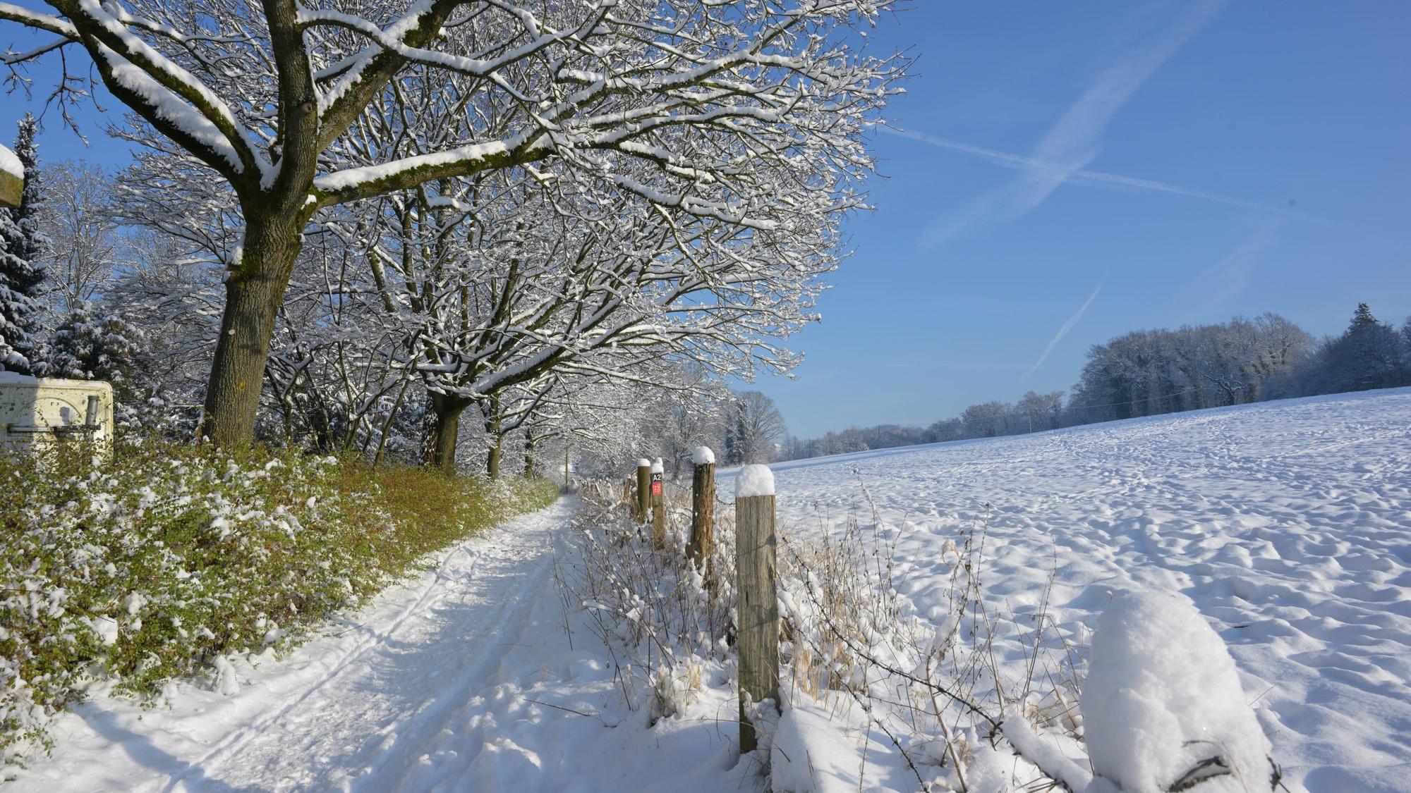 Ein verschneiter Weg führt durch eine Winterlandschaft unter blauem Himmel.