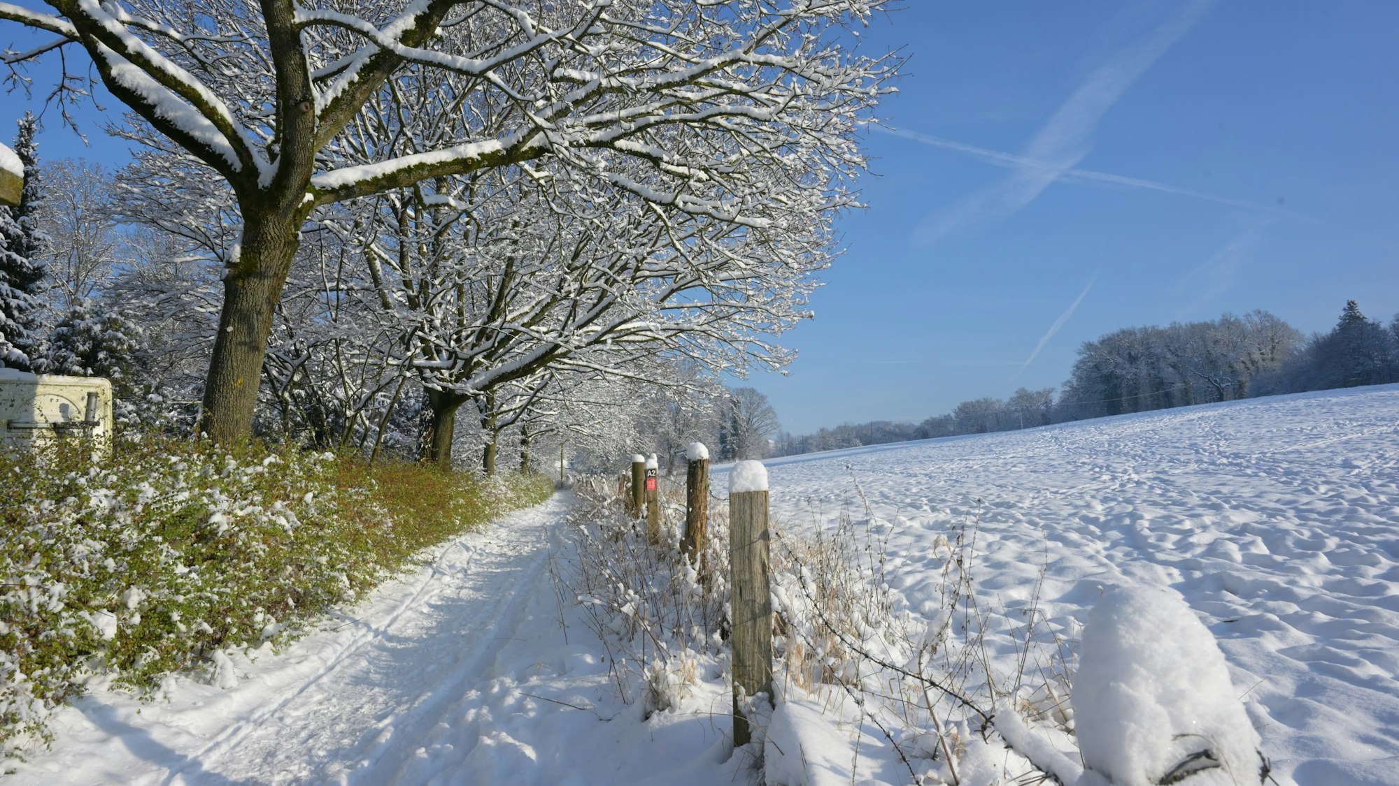 Ein verschneiter Weg führt durch eine Winterlandschaft unter blauem Himmel.