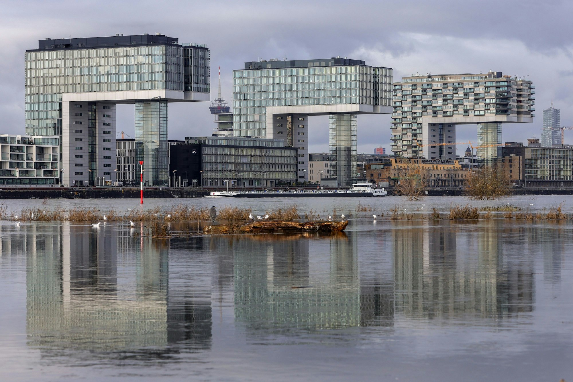 Die Kranhäuser mit Rheinblick.
