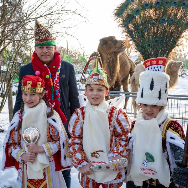 Das Kinderdreigestirn besucht den Zoo.
