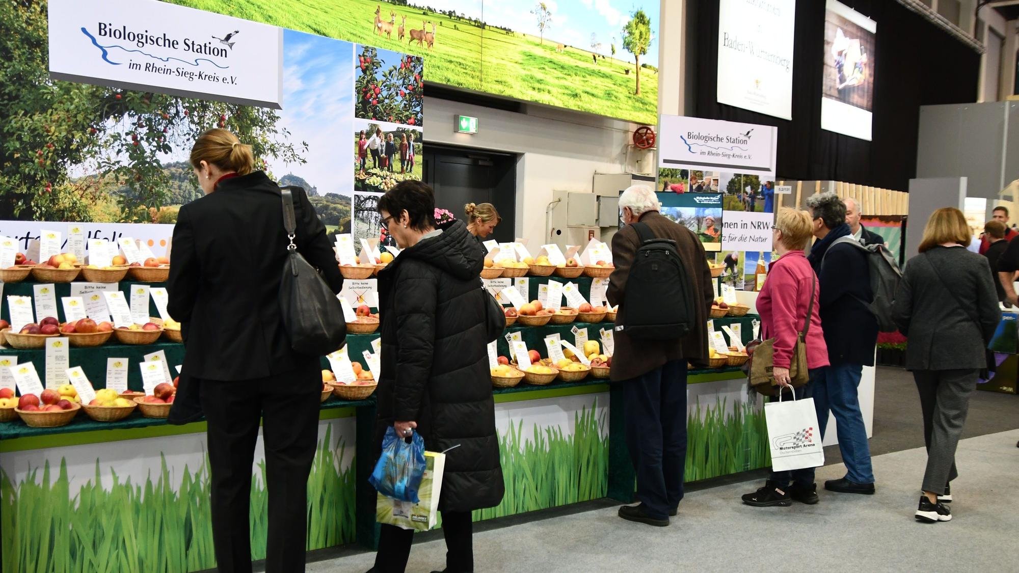 Besucher stehen am Stand der Biostation Rhein-Sieg auf der Grünen Woche in Berlin und kosten heimische Apfel- und Birnensorten.