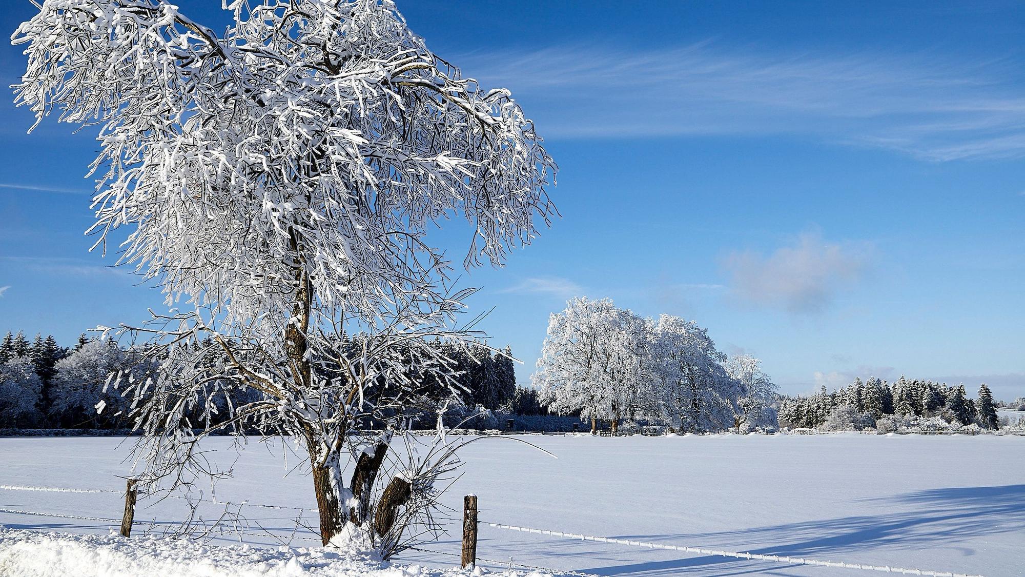Schneeparadies am Weißen Stein in der Eifel.