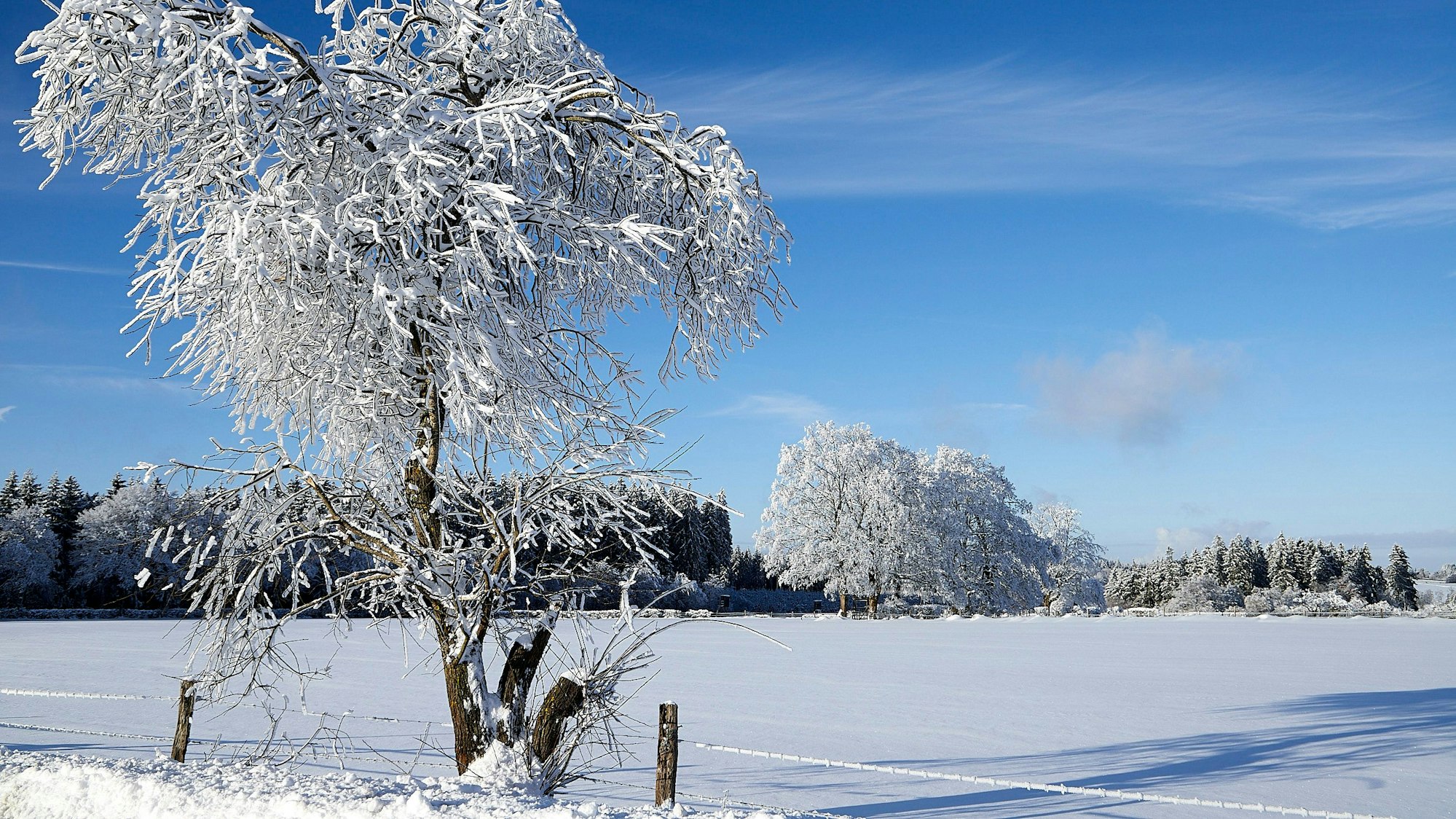 Schneeparadies am Weißen Stein in der Eifel.