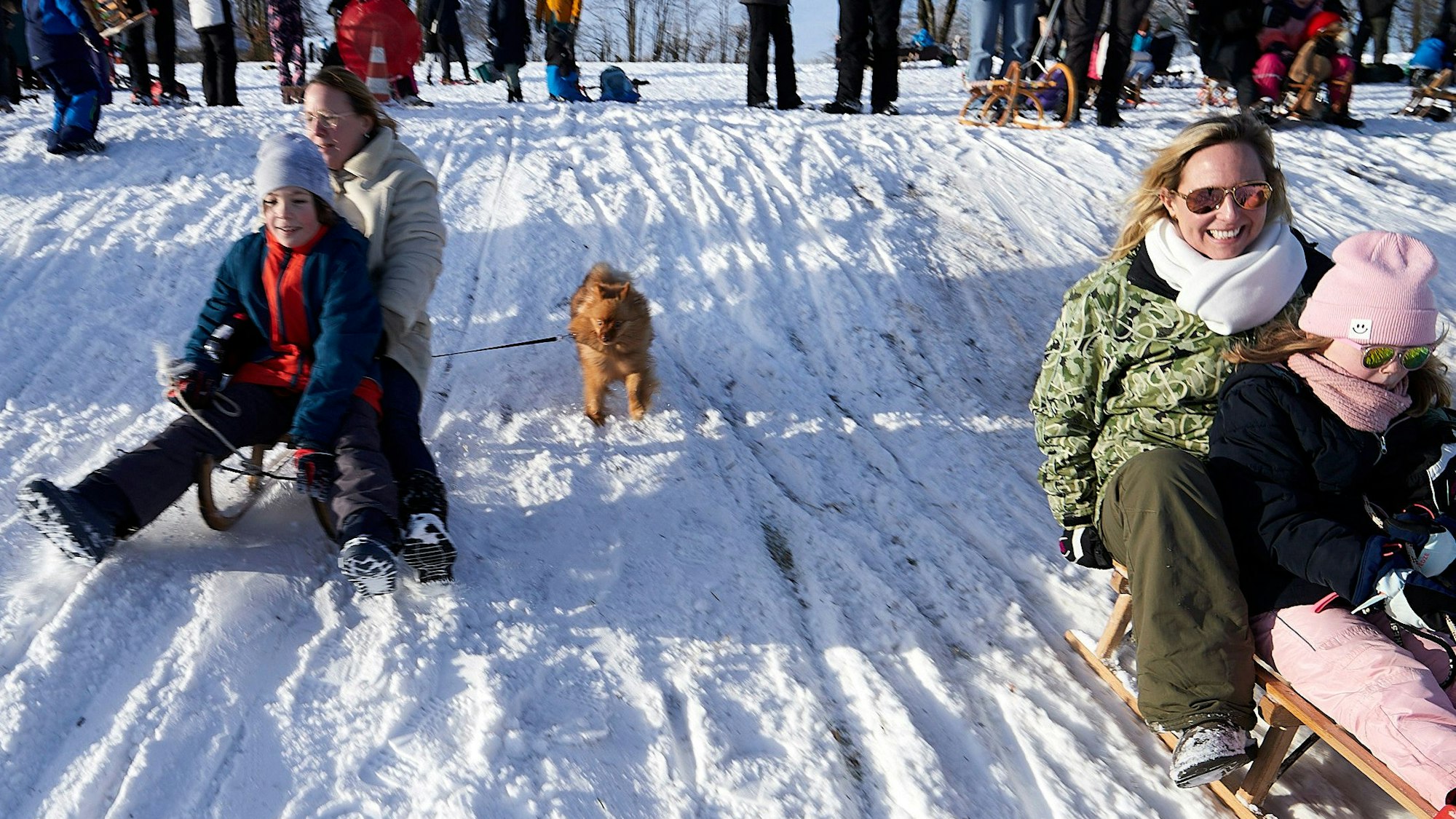Zwei Mütter rodeln mit ihren Kindern den Hang hinab, Zwergspitz Dobby folgt ihnen.