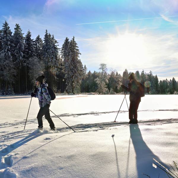 Ein Pärchen zieht auf Langlaufskiern im Tiefschnee seine Bahn. Im Hintergrund verschneite Wälder.