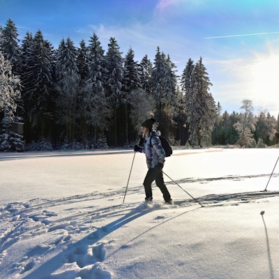 Ein Pärchen zieht auf Langlaufskiern im Tiefschnee seine Bahn. Im Hintergrund verschneite Wälder.