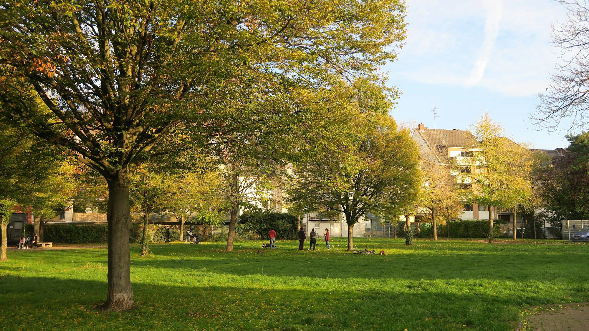 Eine Grünfläche in Kalk