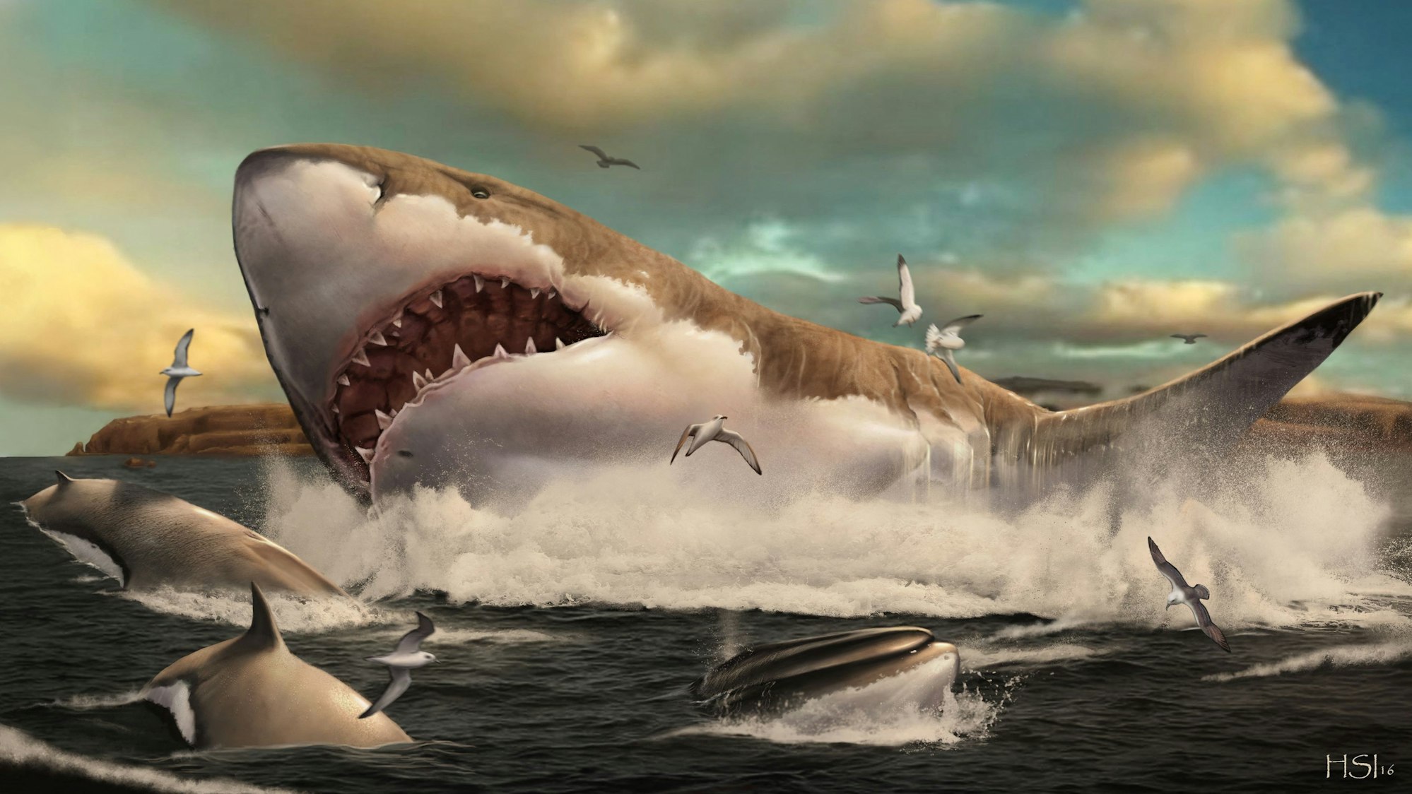 Eine künstlerische Darstellung des Ur-Hais Megalodon.