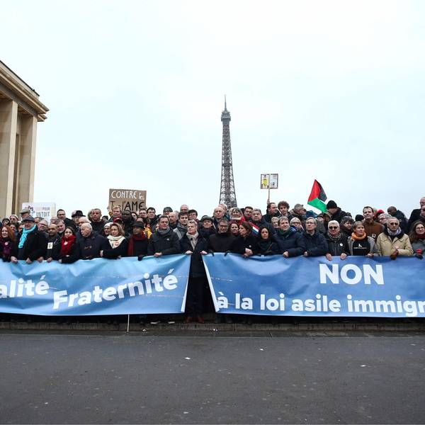 Demonstranten stehen mit Transparenten mit der Aufschrift ‚Freiheit, Gleichheit, Brüderlichkeit‘ (l) und ‚Nein zum Asyl-Einwanderungsgesetz‘ bei einer Demonstration gegen das kürzlich verabschiedete französische Einwanderungsgesetz.