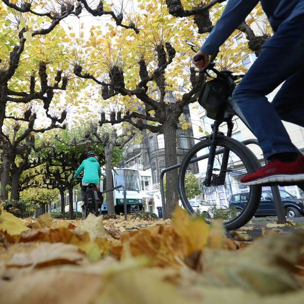 Herbstlaub liegt auf der Rheinpromenade, auf der gerade zwei Radfahrer unterwegs sind.