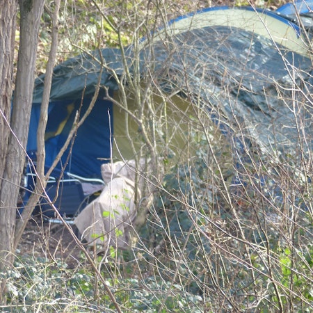 Zu sehen ist ein Zelt hinter Sträuchern und Bäumen.